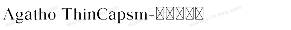 Agatho ThinCapsm字体转换